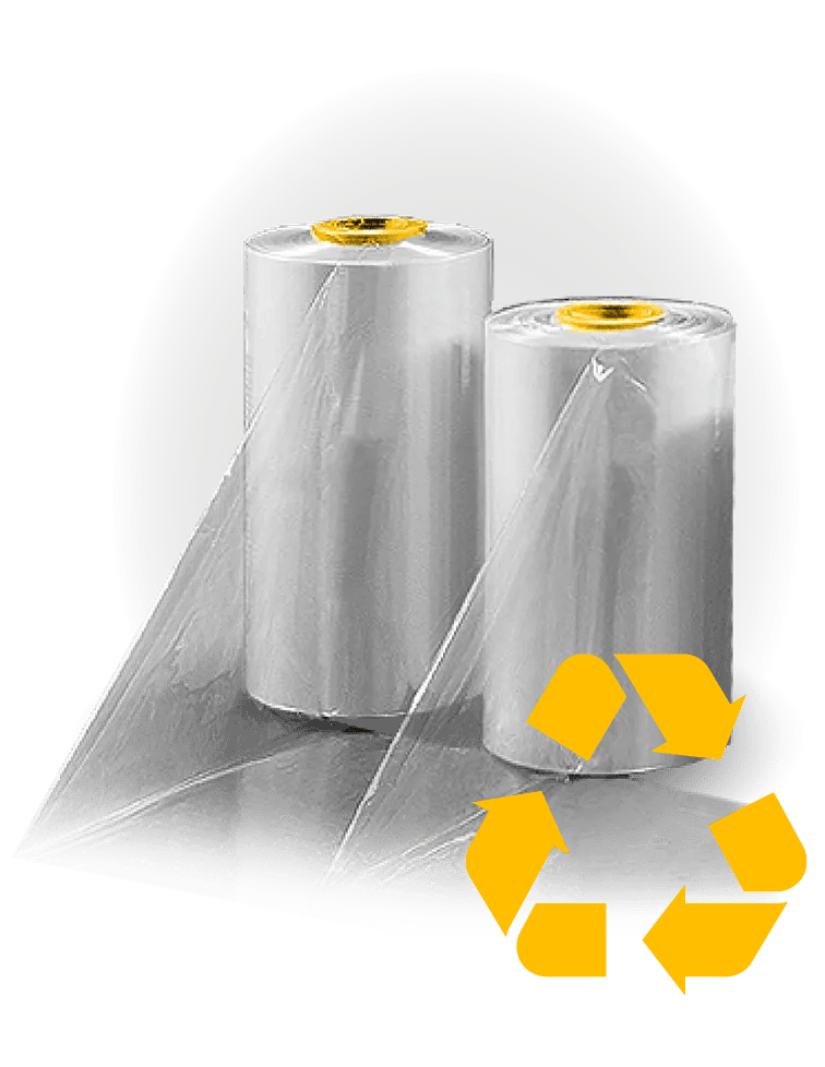 2025_test7_rec